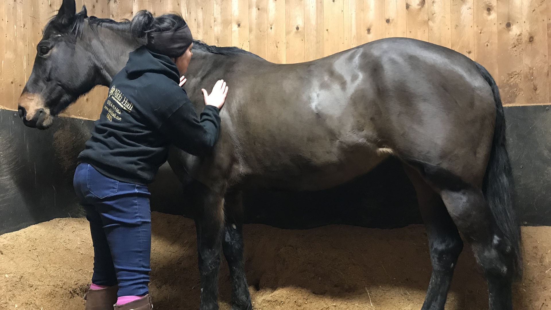Nikki Hall Equine Massage Therapist